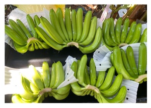Venta al por mayor Tipo de cultivo Sabor dulce Grado Aa Plátano fresco Plátano natural Precios de Vietnam - Product Image 2