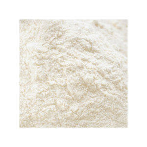 Lait écrémé en ligne en poudre faible en gras lait sec pour l'alimentation smoothies protéines shakes cuisson saine - Product Image 2