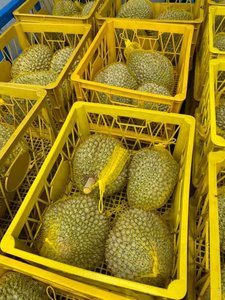 Durian Vietnamita Estándar Premium Congelado Sin Semillas - Product Image 5