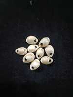 Coquillages de mer cauri bruts et polis Tailles personnalisées pour les commandes mondiales Coquillages cauri écologiques Approvisionnement durable pour les artisans