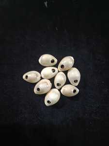 Coquillages de mer cauri bruts et polis Tailles personnalisées pour les commandes mondiales Coquillages cauri écologiques Approvisionnement durable pour les artisans - Product Image 3