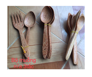 Cuillère à noix de coco végétalienne écologique cuillère à noix de coco cuillère à jus et dîner avec cuillère - Product Image 1