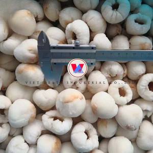 ลิ้นจี่แช่แข็งจากเวียดนามขายส่ง: ราคา/ตันสำหรับ2025นำเข้าจำนวนมาก - Product Image 6