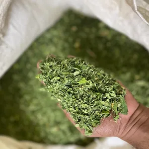 Yüksek kalite en iyi fiyat kurutulmuş Moringa yaprak çay/yüksek besin içeriği ile Moringa oleifera yaprak tozu