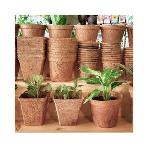 Pot en fibre de coco économique, design soigné pour la planification de projets économiques et pièce structurelle polyvalente pour les besoins quotidiens de décoration intérieure - Product Image 3