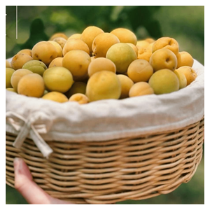 Paniers en rotin tressé Paniers en rotin naturel tressé pour le rangement du linge, l'organisation de la salle de bain et la décoration Fabriqué au Vietnam - Product Image 1