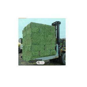 Max Alfalfa fieno erba medica 1% Max miscela mangime 12x12x12 cubo 450kg balle 25 tonnellate 15 giorni fornitura per cani suini bovini cavalli pesci - Product Image 2