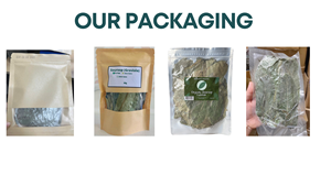 Dried Soursop Leaves Fermented Broken <b>Tea</b> Brew Hot Water Organic Health <b>Tea</b> Non Sugar 50gr <b>Box</b> Packaging EXPAD CO Grade a - Product Image 4