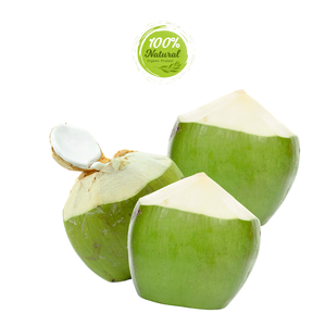 มะพร้าวเพชรปอกเปลือกช่วยควบคุมระบบประสาทได้อย่างไร - Product Image 5