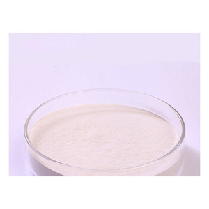 เอนไซม์อัลคาไลน์โปรตีเอสเกรดอาหารสำหรับผงซักฟอก - Product Image 6