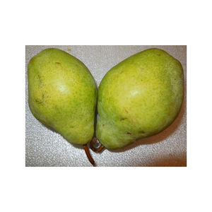 Vente directe des fabricants sac en plastique de haute qualité IQF fruits frais 1kg Halal sans additifs sucré fraise entière congelée - Product Image 3