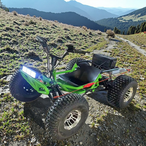 Scooter électrique tout-terrain vert à 4 roues, moteur sans balais 1000W, batterie au lithium, double suspension, contrôle par application, unisexe - Product Image 2