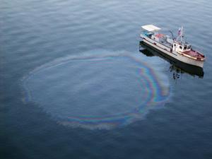 Biorremediación de suelos y aguas contaminadas con derrames de petróleo con OSR 2002 - Product Image 2