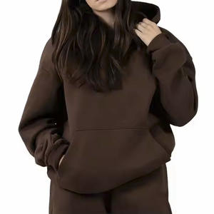 Wholesale Custom High Quality Women's Standard Hoodie Heavyweight Oversized Casual <b>Hoody</b> Anti-pilling 450g <b>Fleece</b> Hoodie - Product Image 1