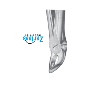 Fórceps de extracción de acero inoxidable de alta calidad Fig 2002 exportadores y fabricante - Product Image 4