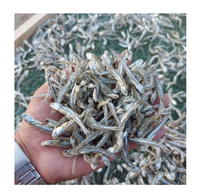 Ikan Sarden Kering Premium 100% Tinggi Protein Bahan Makanan Ringan Untuk Pengolahan Makanan Dan Pasokan Ekspor
