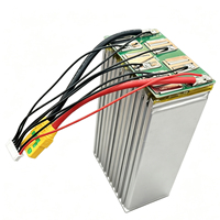 Cellule de batterie OEM&ODM 80,4 Ah 350 Wh/kg semi-solide pour drone, cellule de batterie lithium-ion 3,7 V pour UAV agricole