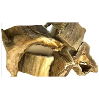 Stockfish séché naturel disponible en volumes commerciaux pour les acheteurs en gros meilleure qualité