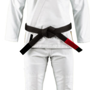 Nouveau 2025 prix d'usine sur mesure nouveauté karaté costume BJJ Jiu Jitsu Arts martiaux uniforme avec fonction extensible - Product Image 5