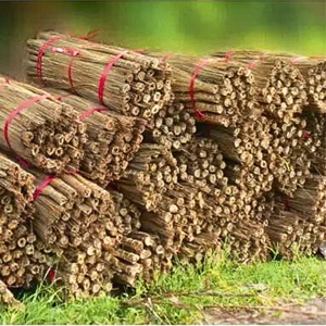 Rown-garrapata actory, 100% - Product Image 5