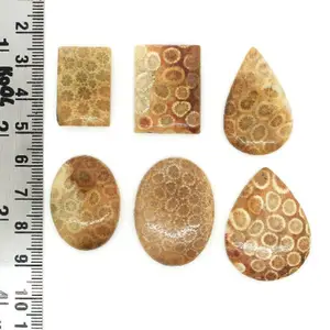 Highest Top Selling Good Rating Brilliant Top Quality Natural Morocco Coral Gemstone Mixed Shape Cabochons Lot Available
