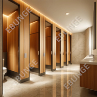 Cubículos de Baño Públicos con Accesorios de Nailon, Durabilidad y Funcionalidad
