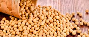 Wholesale Organic Hulled Soy <b>Beans</b> For Sale - Product Image 4