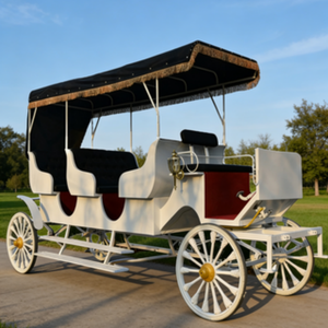 Carrozza Leggera e Facile da Tirare per Tour Panoramici Brevi, <span class=keywords><strong>Passeggiate</strong></span> in Città Antica, Gite sul Lago e Parate Culturali Rurali - Product Image 2