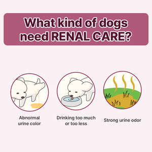 DR.BY RENAL 8G * 30EA Salud del tracto urinario renal Masticables suaves para perros con arándano-Sin colores artificiales y bajo en sodio - Product Image 2