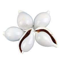 งานฝีมือเปลือกหอยทะเลขายดี | เปลือกไข่รูปไข่ขัด | ของตกแต่งบ้านส่งออกเวียดนาม - Product Image 5