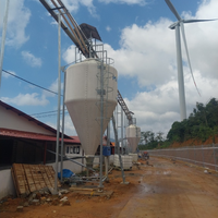 Silo d'alimentation à vendre Fibre de verre acier inoxydable Vietnam fabricant pas cher prix stockage des aliments Silos pour porcs