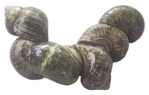 Carcasa Turbo pequeña SEASHELL JEWELRY Green Dark Kinds con motivo de técnica pintada Tamaño 6cm más - Product Image 4