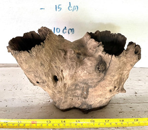 Souche de bois flotté naturel Unique de thaïlande - Product Image 6