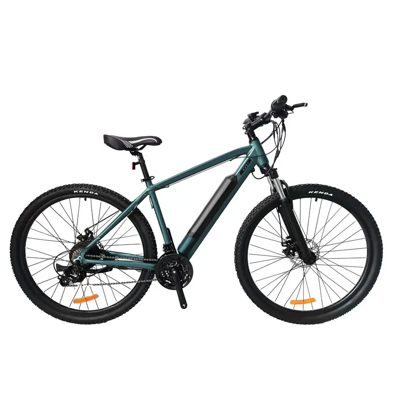 Benutzer definierte e Fahrrad 8000w / mtb Erwachsenen 1000w elektrische Sport fahrrad/3000w Elektro fahrrad mit Batterie 36v billige große Rad