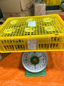 ลำไยสด ผลไม้เมืองร้อน พรีเมียม ได้รับการรับรองมาตรฐาน ISO 9 ลูก/กล่อง Somecoco WA84972678053 - Product Image 5