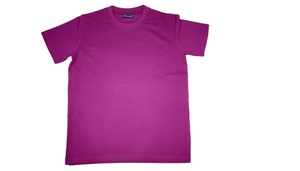 Camiseta de Poliéster Tejida Ecológica de Secado Rápido para Campañas Electorales, Personalizable en Color y Talla, Impresa, de Proveedor de Mumbai, India - Product Image 2