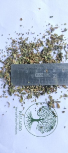 Feuilles de papaye séchées (Carica Papaya) en granulés verts, thé santé pour infusions aux herbes, sac en vrac de première qualité, best-seller - Product Image 4