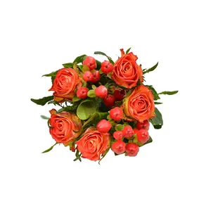 Bán Buôn Tươi Cắt Rose Flower Xuất Khẩu Tươi Cắt Hoa Kenya Hypericum Bi Cam Hoa Rose Bouquet Tất Cả Các Màu Sắc Bán Lẻ Hoa Hồng