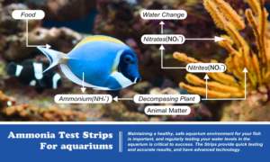 Merydi-Kit de bandelettes de <span class=keywords><strong>test</strong></span> de qualité de l'eau pour étang à poissons, fournisseurs de kit de <span class=keywords><strong>test</strong></span> d'ammoniac pour piscine à poissons - Product Image 3