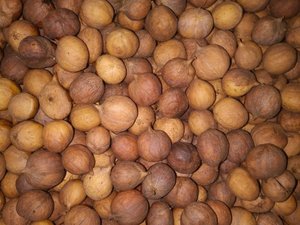 Nueces de Hickory Crudas Secas Naturales Orgánicas de Alta Calidad al por Mayor, Pistachos de Grado Premium para Cocinar y Comer, en Venta - Product Image 5