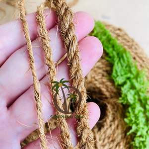 PAS CHER NATUREL FIBER DE COCO DE NOIX DE COCO CORDE HAUTE QUALITÉ DE NOIX DE COCO FIBER DE COCO CORDE NATUREL AMICAL COCONUR BALLE DE FIBER DE CORDE EN GROS - Product Image 5