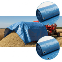 GCIL Bâche agricole HDPE durable Bâche en PE imperméable et résistante aux UV Feuille de plastique pour couvrir les cultures Engrais Stockage Ferme