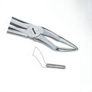 Fórceps de extracción de dientes Fig.51 Diam Productos de logotipo personalizado de alta calidad Instrumentos dentales de acero inoxidable de alta calidad - Product Image 4