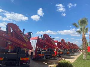 Puma Crane, la mejor calidad, nueva condición, industria de la construcción, camión de reparación ferroviaria, bomba de entrega rápida, componente central, grúa puente - Product Image 5