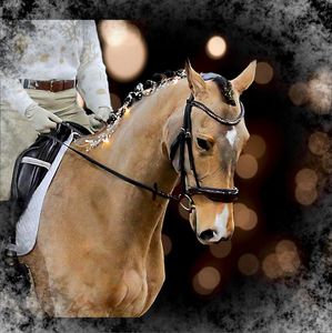 บังเหียนหนังม้าเรืองแสงได้อย่างอิสระใช้ในการขับม้าทำจากหนังที่มีสิทธิบัตรทนทาน - Product Image 2