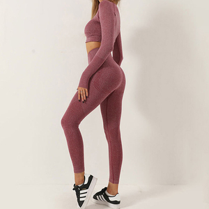 Venta al por mayor Atlético señoras gimnasio Fitness deportes entrenamiento Yoga ropa traje sin costuras mujeres activo desgaste Yoga conjunto - Product Image 5