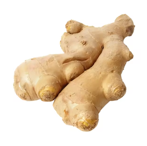 Jengibre amarillo orgánico de alta calidad fresco y limpio 100% natural para venta al por mayor y exportación directa desde Vietnam - Product Image 3