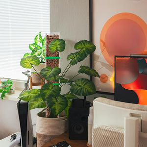 Poste de musgo modular en forma de D, recubierto de plástico, de 48 pulgadas, extensible con sistema de encaje a presión, para invernadero, soporte sencillo para plantas - Product Image 3