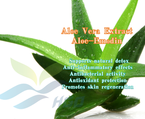 HGO Factory Direct Supply Extrait naturel d'aloe vera d'agrumes (qualité alimentaire) Spécification 50% Aloe-Emodin (extrait standardisé) - Product Image 3
