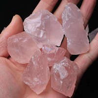 Lampe de sel rose naturelle brute sculptée de 100g, motif floral, pour la guérison, le Reiki, l'art et la collection